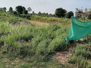 For sale land in Phu Khiao, Chaiyaphum