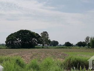 For sale land in Phu Khiao, Chaiyaphum