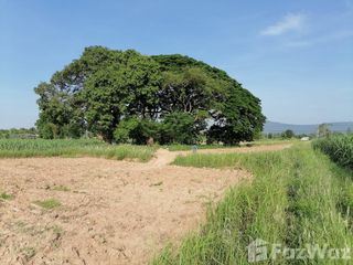 For sale land in Phu Khiao, Chaiyaphum