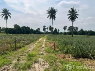 For sale land in Cha Am, Phetchaburi
