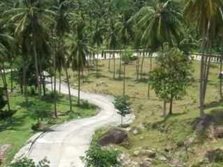 For sale land in Ko Samui, Surat Thani