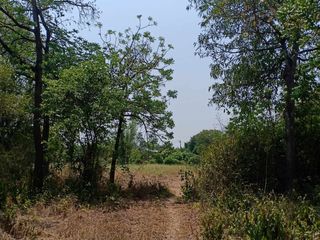 For sale land in Si Prachan, Suphan Buri