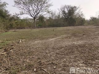 For sale land in Mueang Ratchaburi, Ratchaburi