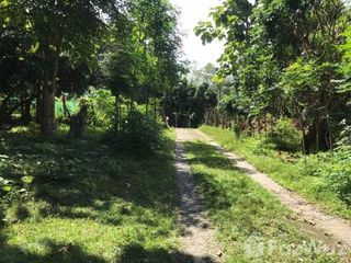 For sale land in Mae Rim, Chiang Mai