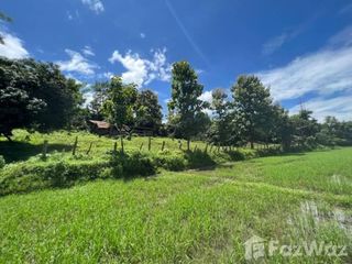 For sale land in Mae Rim, Chiang Mai