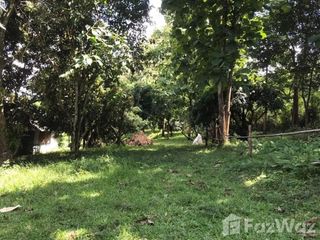 For sale land in Mae Rim, Chiang Mai