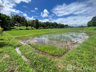 For sale land in Mae Rim, Chiang Mai