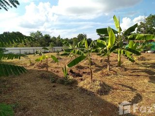 For sale land in Non Thai, Nakhon Ratchasima