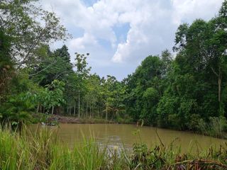 For sale land in Makham, Chanthaburi