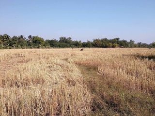 For sale land in Mueang Nong Khai, Nong Khai
