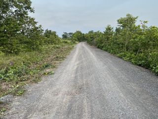 For sale land in Dan Khun Thot, Nakhon Ratchasima