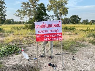 For sale land in Dan Khun Thot, Nakhon Ratchasima
