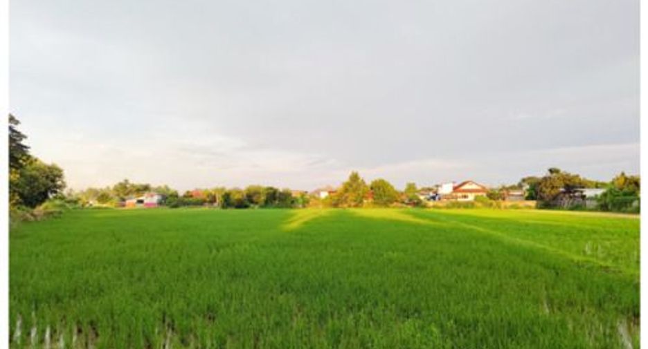 For sale land in Mueang Chiang Rai, Chiang Rai