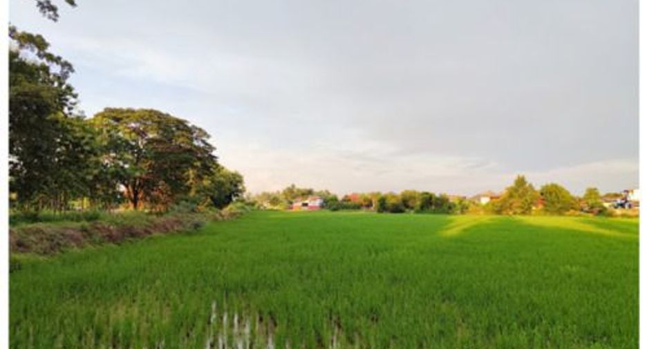 For sale land in Mueang Chiang Rai, Chiang Rai