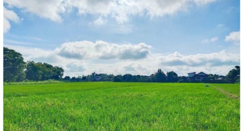 For sale land in Mueang Chiang Rai, Chiang Rai