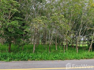 For sale land in Mueang Nakhon Si Thammarat, Nakhon Si Thammarat