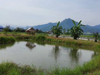For sale land in Tha Li, Loei