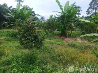 For rent 2 Beds house in Mueang Chumphon, Chumphon