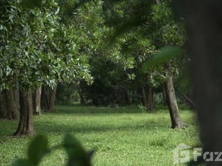 For sale land in Thai Mueang, Phang Nga
