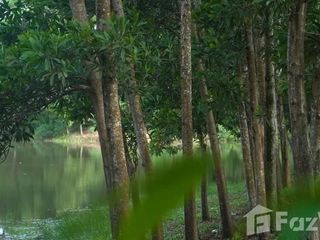 For sale land in Thai Mueang, Phang Nga
