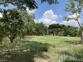 For sale land in Mueang Chiang Rai, Chiang Rai