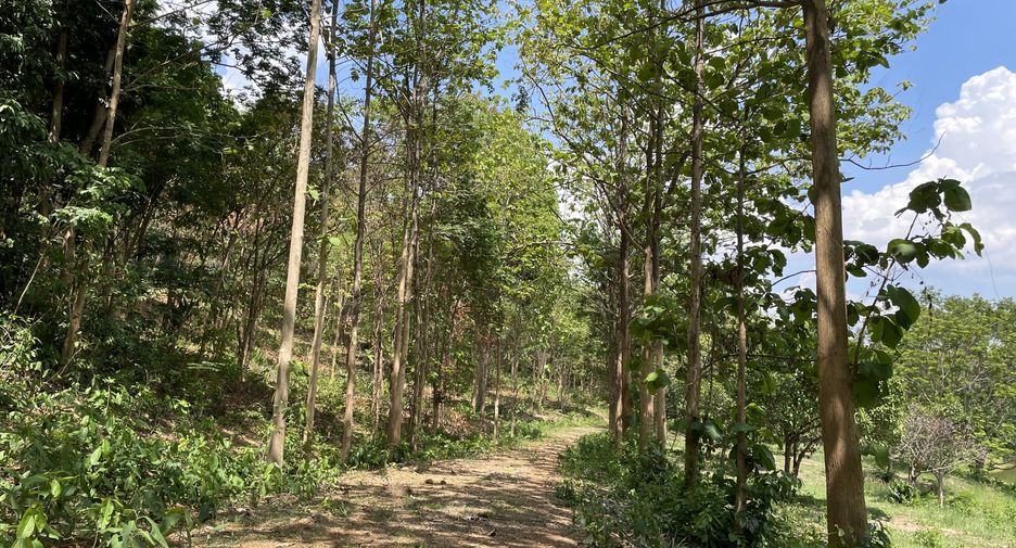 For sale land in Mueang Chiang Rai, Chiang Rai
