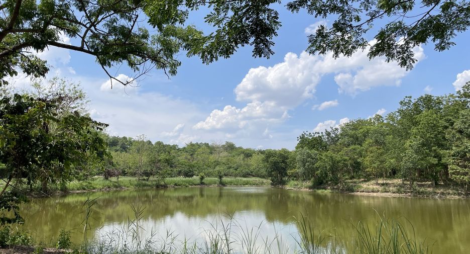 For sale land in Mueang Chiang Rai, Chiang Rai