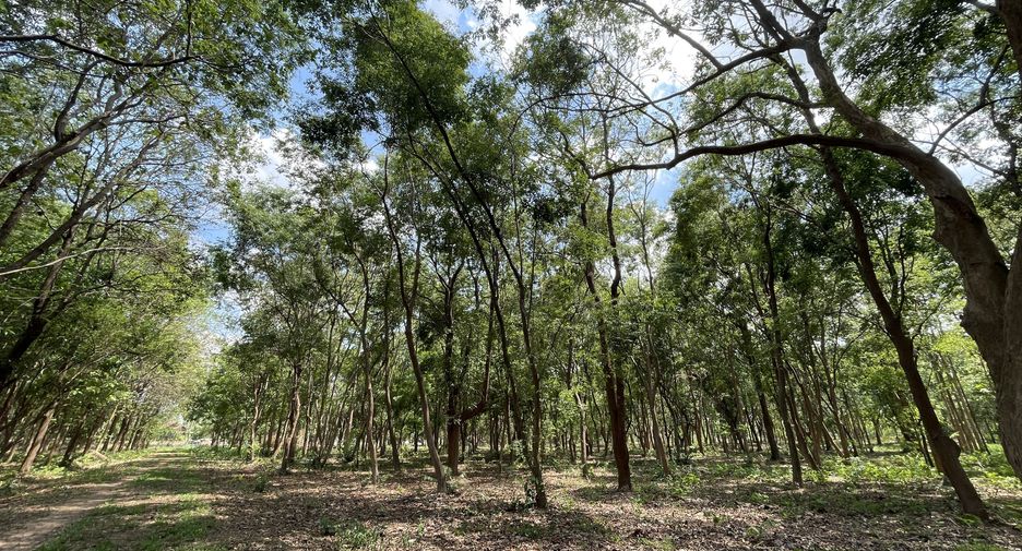 For sale land in Mueang Chiang Rai, Chiang Rai