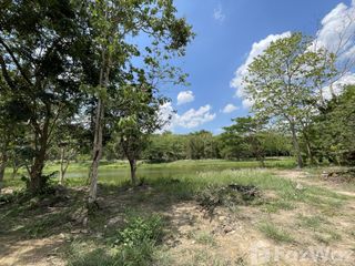 For sale land in Mueang Chiang Rai, Chiang Rai