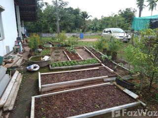 For sale land in Mueang Chumphon, Chumphon
