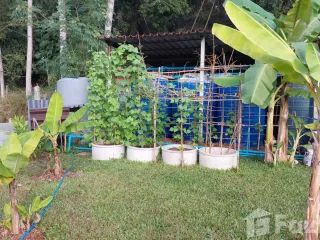 For sale land in Mae Chan, Chiang Rai