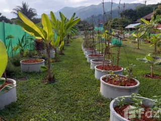 For sale land in Mae Chan, Chiang Rai
