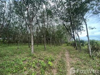 For sale land in Ron Phibun, Nakhon Si Thammarat
