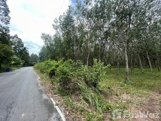 For sale land in Ron Phibun, Nakhon Si Thammarat