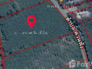 For sale land in Ron Phibun, Nakhon Si Thammarat