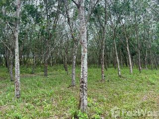 For sale land in Ron Phibun, Nakhon Si Thammarat