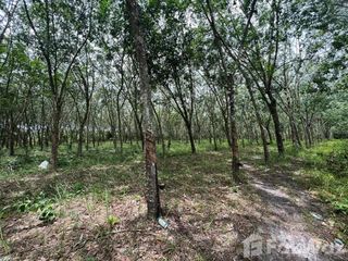 For sale land in Ron Phibun, Nakhon Si Thammarat