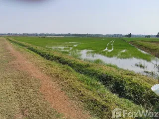 For sale land in Tha Bo, Nong Khai