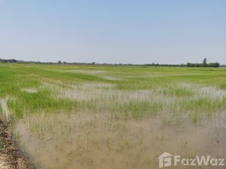 For sale land in Tha Bo, Nong Khai