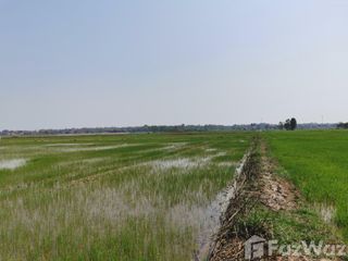 For sale land in Tha Bo, Nong Khai