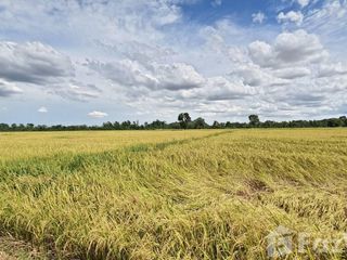 For sale land in Photharam, Ratchaburi