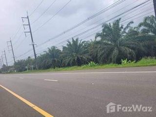 For sale land in Mueang Phangnga, Phang Nga