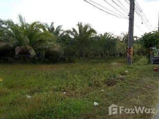 For sale land in Mueang Phangnga, Phang Nga