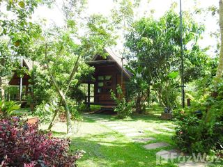 For sale land in Pak Phli, Nakhon Nayok