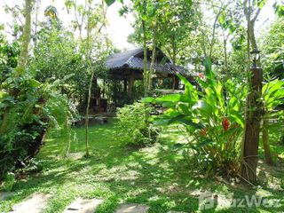 For sale land in Pak Phli, Nakhon Nayok