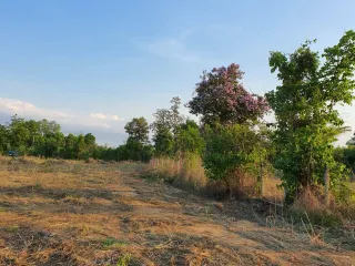 For sale land in Phen, Udon Thani