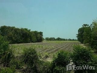 For sale land in Hankha, Chainat