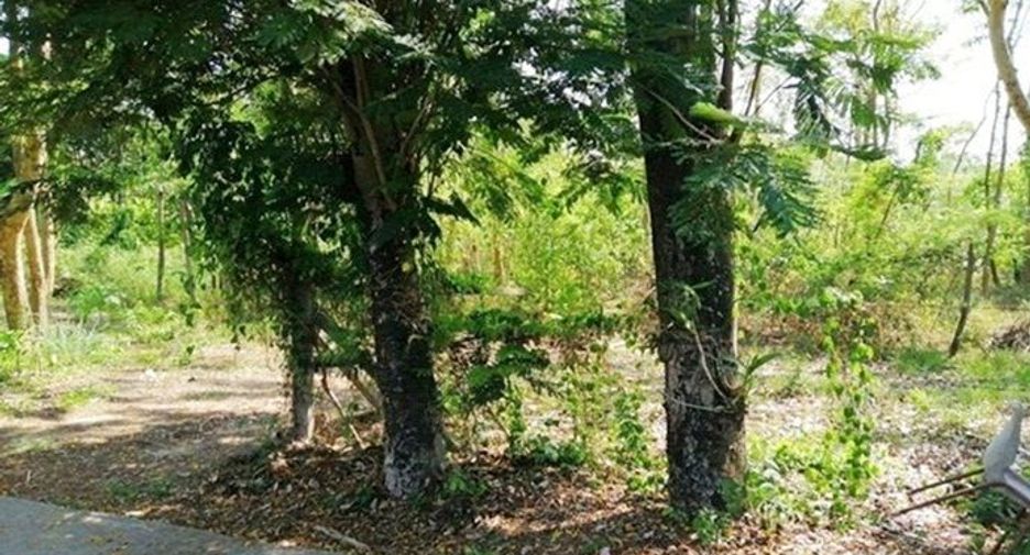 For sale land in Bang Kruai, Nonthaburi