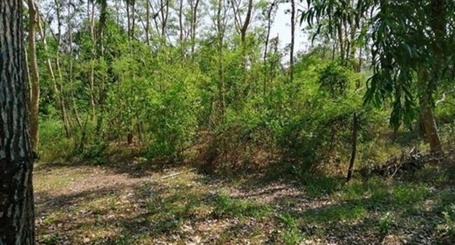 For sale land in Bang Kruai, Nonthaburi