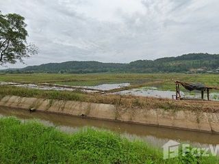 For sale land in Chiang Dao, Chiang Mai